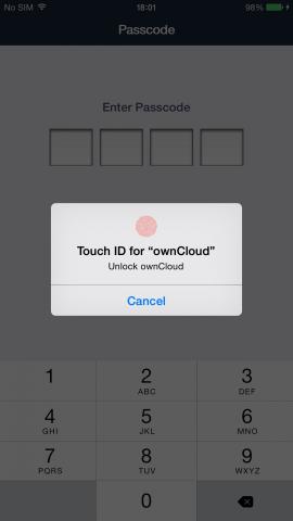 touch id owncloud