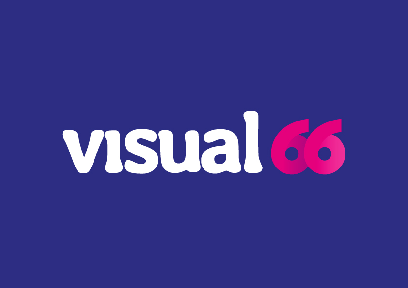 Visual 66 0